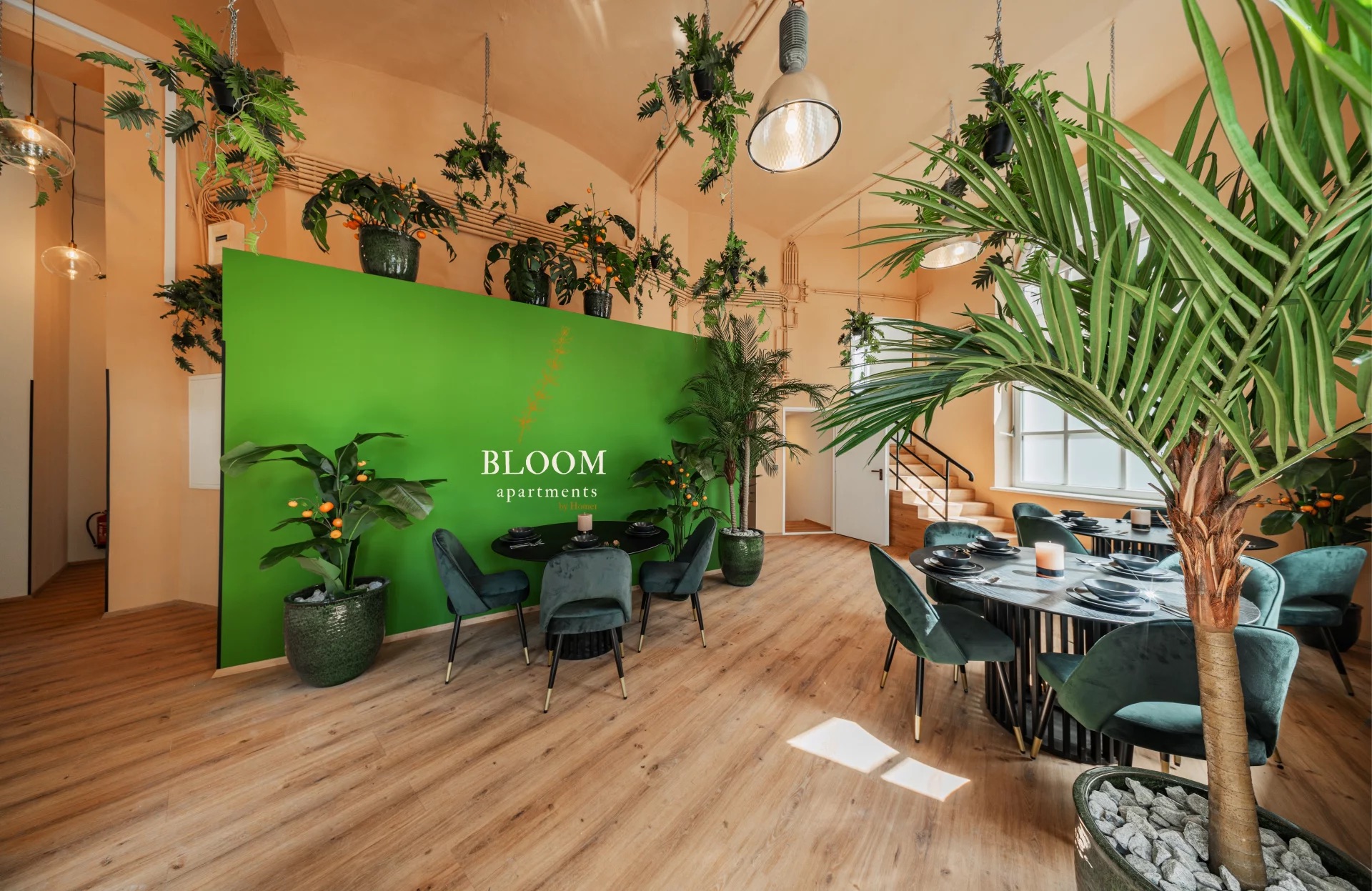 Danube Street Immo entwickelt neues Apartmentprojekt in der Florianigasse 43, im 8. Wiener Gemeindebezirk – vermittelt von OSWALD Immobilien